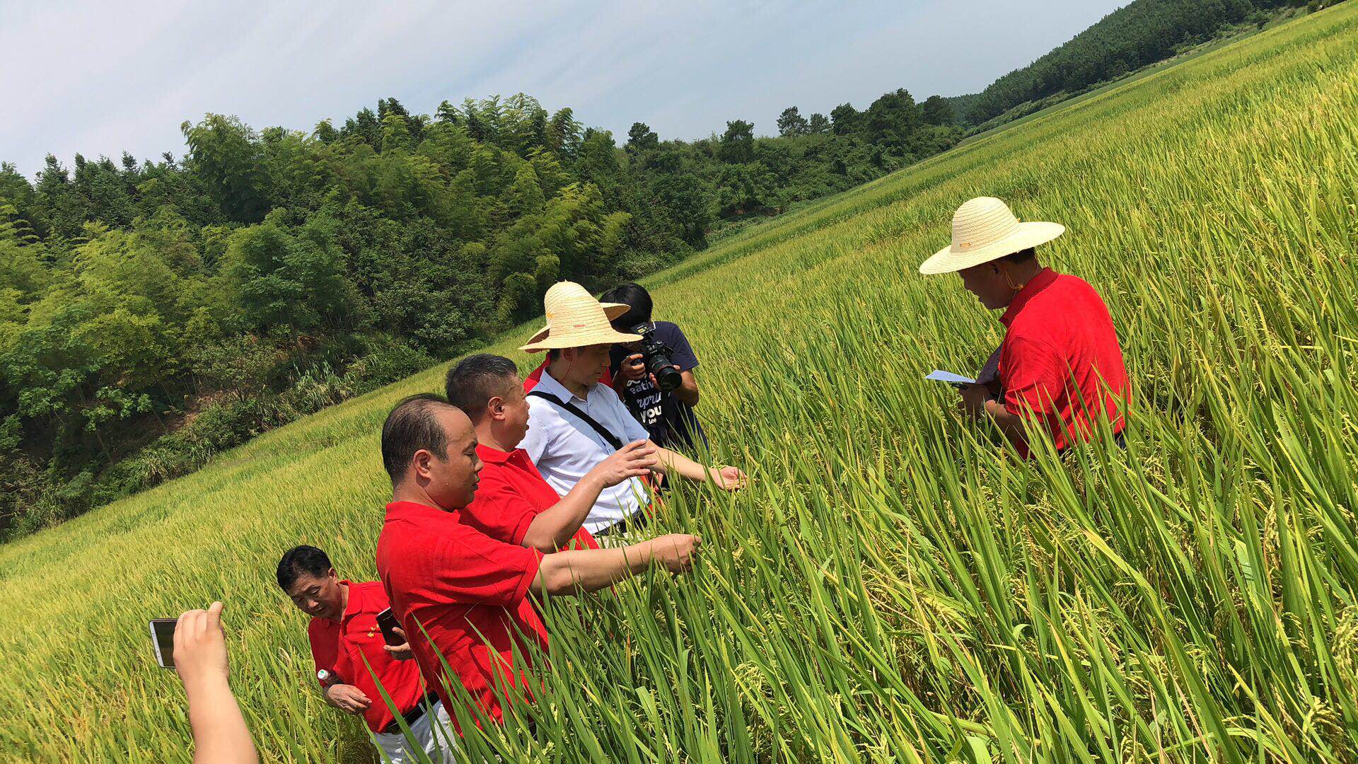 郴州市金土地化肥有限公司,湖南配方肥定點加工,林木肥銷售,有機肥質量 郴州市金土地化肥有限公司,湖南配方肥定點加工,林木肥銷售,有機肥質量